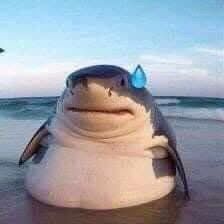 ukkop portfolio logo